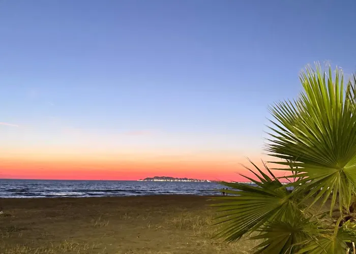 شقة Coastal Dreams